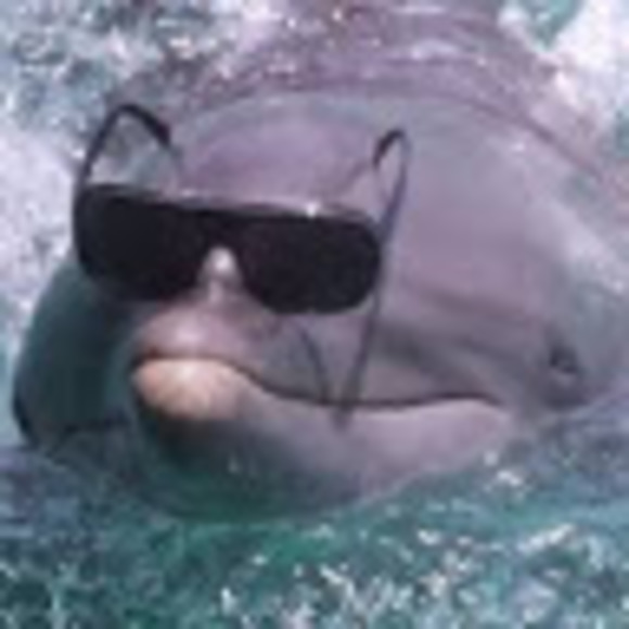 Meet your Posher, Michelle - Picture 1 of 1